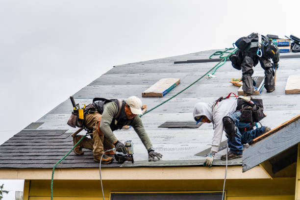 Professional Gutter Installation technician working in Panama, NE